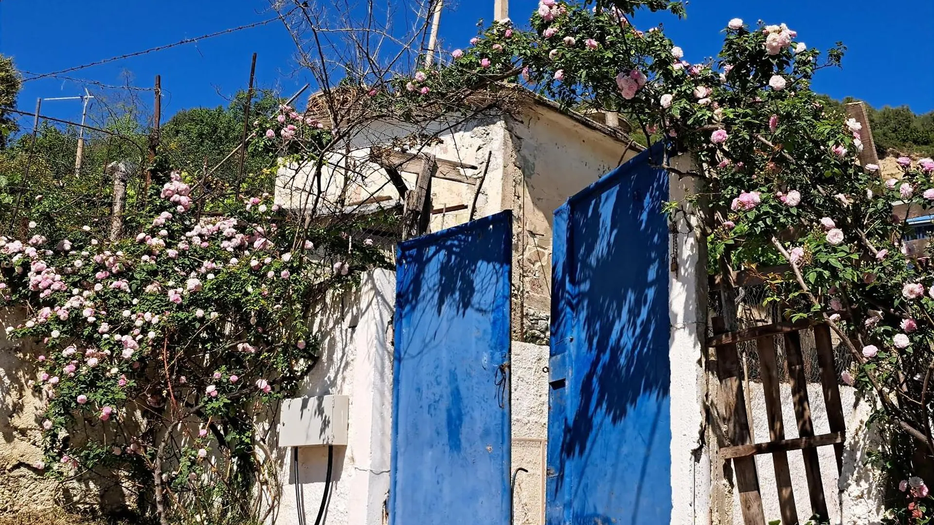 公寓 Vlora Bay公寓